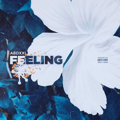 Feeling - EP