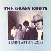 The Grass Roots - Temptation Eyes