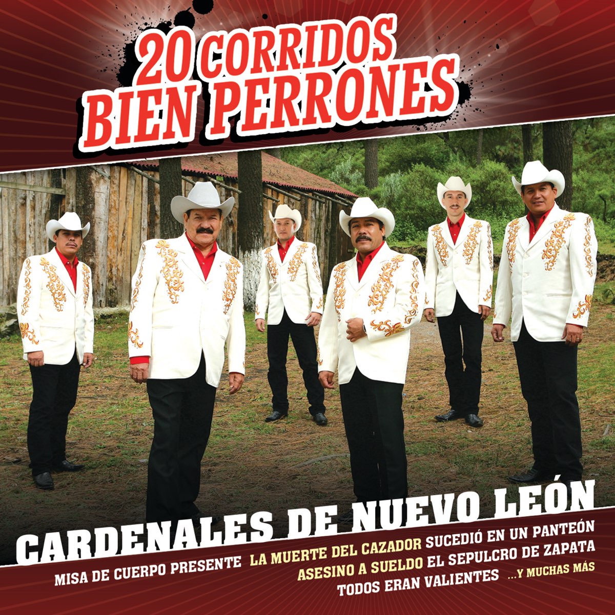 20 Corridos Bien Perrones - Album by Cardenales de Nuevo León - Apple Music