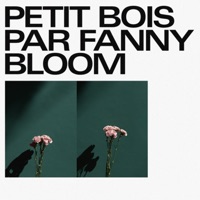 Fanny Bloom - Petit bois