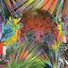 LSD - Process 2