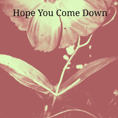 Hope You Come Down - Single