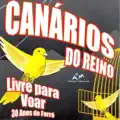 bulir com tu