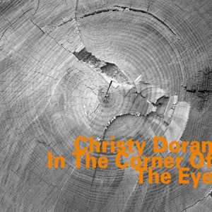 In the Corner of the Eye (feat. Ray Anderson, Marty Ehrlich, Urs Leimgruber & Hank Roberts)