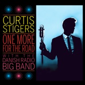 Curtis Stigers - My Kind Of Town