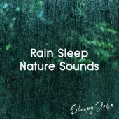 Rain Sleep & Nature Sounds artwork