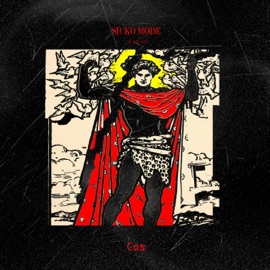 Sicko Mode Freestyle Cos