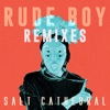 Rude Boy (Remixes) - Single