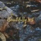 Beautifully Lost - Derek DeRush lyrics