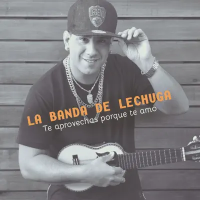 Te Aprovechás Porque Te Amo - Single - La Banda De Lechuga