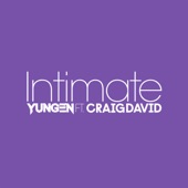 Intimate (feat. Craig David) artwork