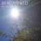 Sentimento - Torfi Olafsson lyrics