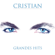 Por Amarte Así - Cristian Castro