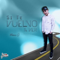 Si Te Vuelvo a Ver (feat. Gerber) - Single - Moises Garduño