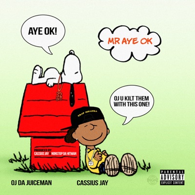 Mr. Aye Ok - Single