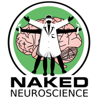 Naked Neuroscience, from the Naked Scientists podcast