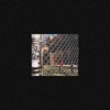 Ball Park - Single