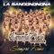 Privilegio - Banda Rancho Viejo de Julio Arámburo lyrics