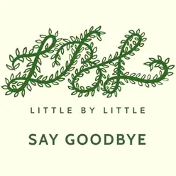 Say Goodbye - Single - Little By Little