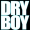 I Did Something Bad - DryBoy lyrics