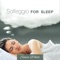 Frequency of Love - Sonia White lyrics