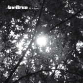 Ane Brun - Big In Japan