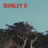 Marley - Tao of Jeet Kune Do