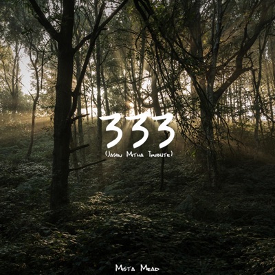 333 - Single