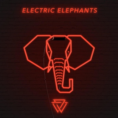 Eletric Elephants (Flip) - Single