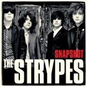 Snapshot (Deluxe Version) artwork