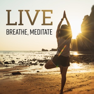 Live, Breathe, Meditate – Spiritual Kirtan Kriya, Vibrating Yoga, Satanama Mantra, Pure Mindfulness