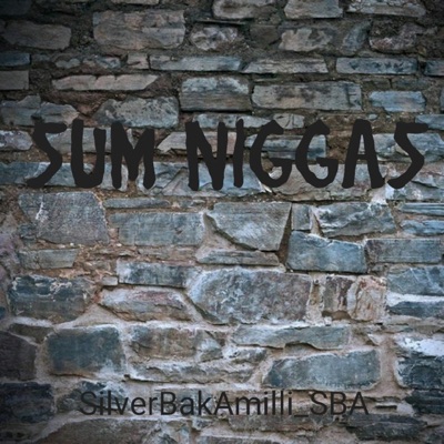 Sum Niggas - Single