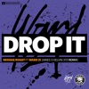 Drop It (feat. Ward 21) [Aries & Kelvin 373 Remix] - Single