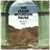 The Clearmountain Pause
