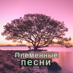 Племенные песни: Этнические мелодии для атмосферы с традиционными африканскими ритмами
