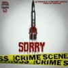 Sorry (feat. Mickey Factz) - Single