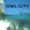 Fuzzy Blue Lights - Owl City lyrics