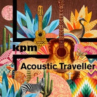 Acoustic Traveller - Dominik Johnson, Alex Tschallener & Hal Lindes