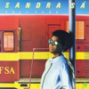 Guarde Minha Voz - Sandra de Sá