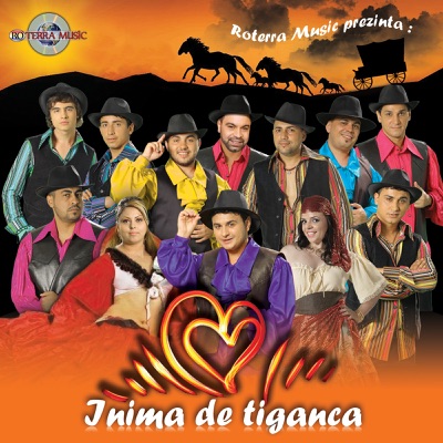 Song - Inima De Tiganca - Copilul De Aur, Bogdan Artistu & Marius Olandezu