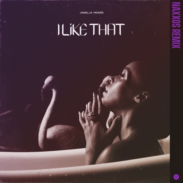 I Like That (Naxxos Remix) - Single - Janelle Monáe