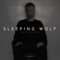Collide - Sleeping Wolf lyrics