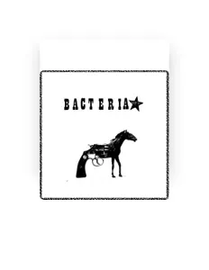 Dengarkan Bacteria, tonton video musik, baca bio, lihat tanggal tur & lainnya!