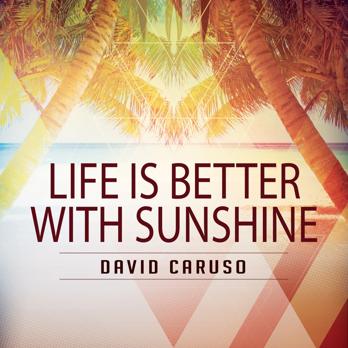 Life Is Better with Sunshine - Single - Album by David Caruso - Apple Music