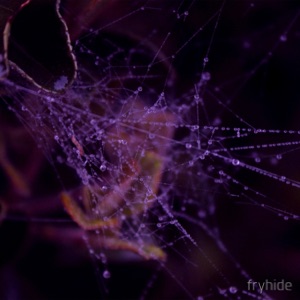 Express / Airwolf - Single