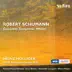 Violin Concerto in D Minor, WoO 1: II. Langsam song reviews