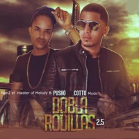 Dobla Rodillas (2.5) [feat. Pusho & Cotto Music] - Single - Nan2 el Master of Melody