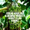 Monkey Island (Khainz Remix) - Oscar Aguilera & George Privatti lyrics