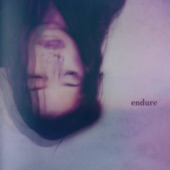 Endure (feat. Montell Fish) artwork