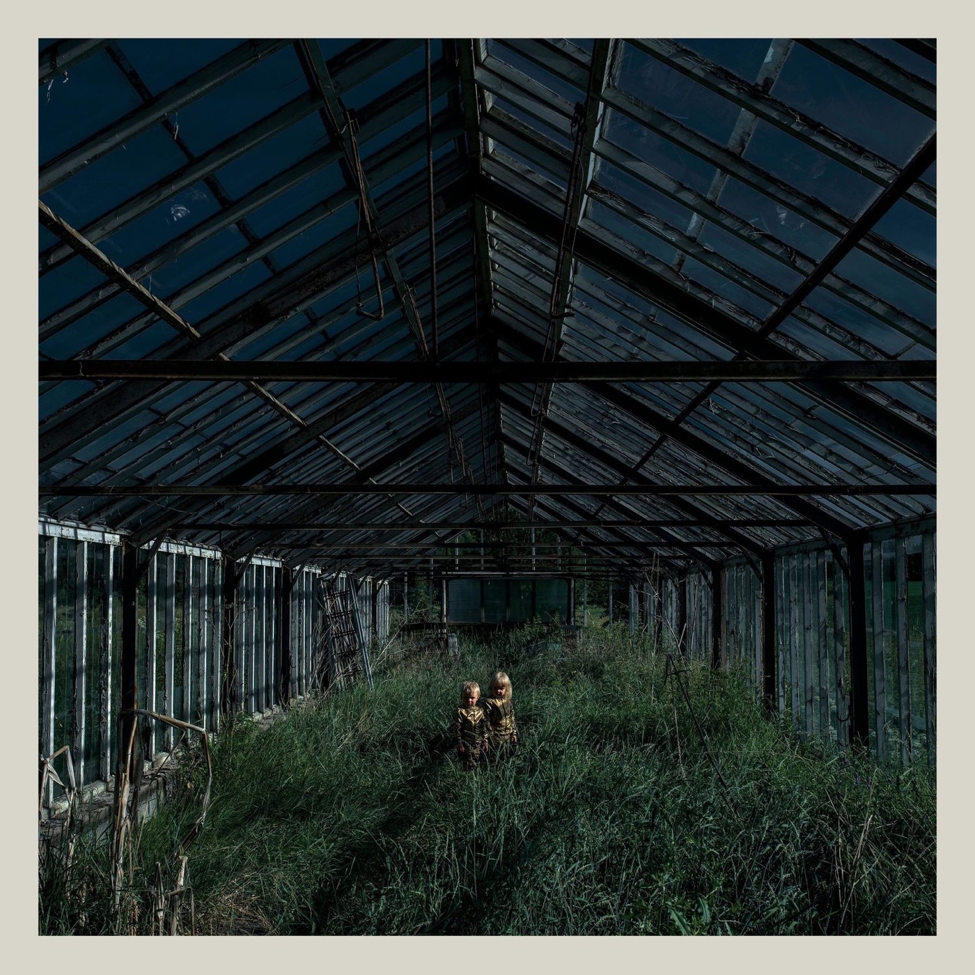 Dealer by Foxing